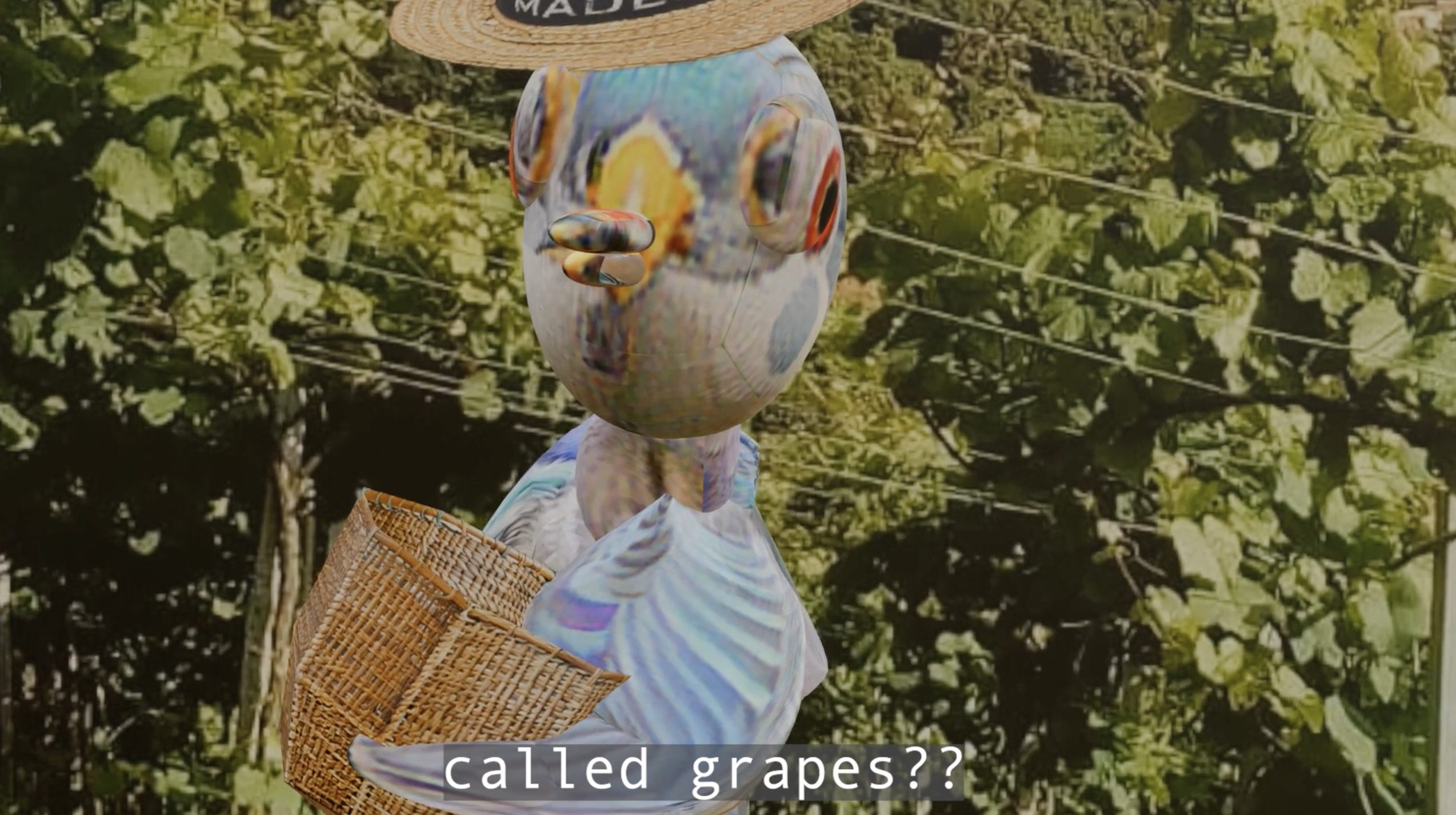 Pigeon project thumbnail